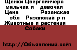 Щенки Цвергпинчера (1 мальчик и 4 девочки) › Цена ­ 8 000 - Рязанская обл., Рязанский р-н Животные и растения » Собаки   